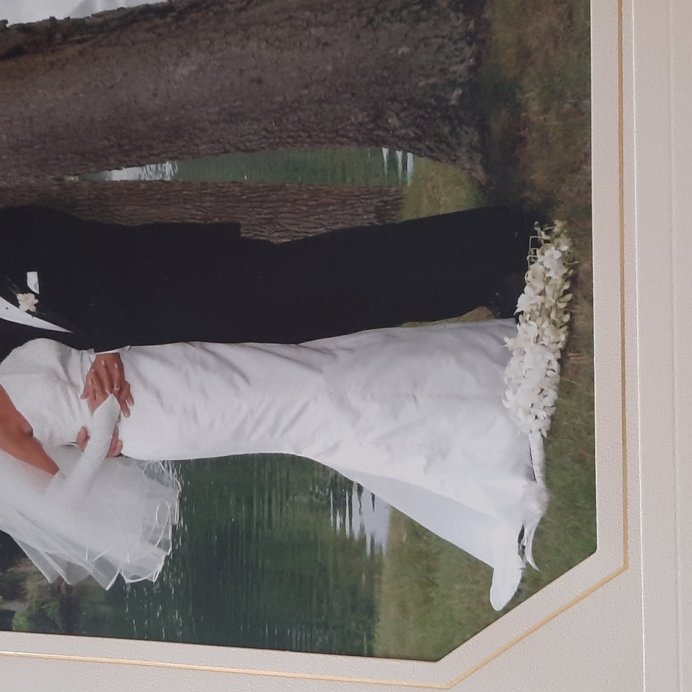 Wedding Gown...with Veil